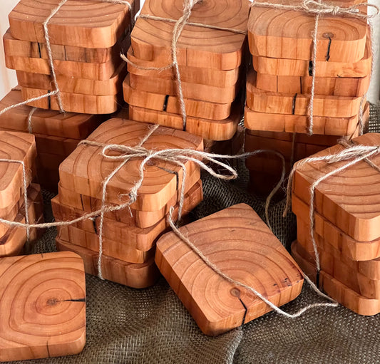 Yellow Southern Pine Coasters